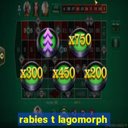 rabies t lagomorph